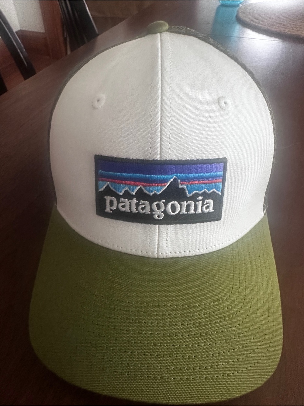 Patagonia SnapBack